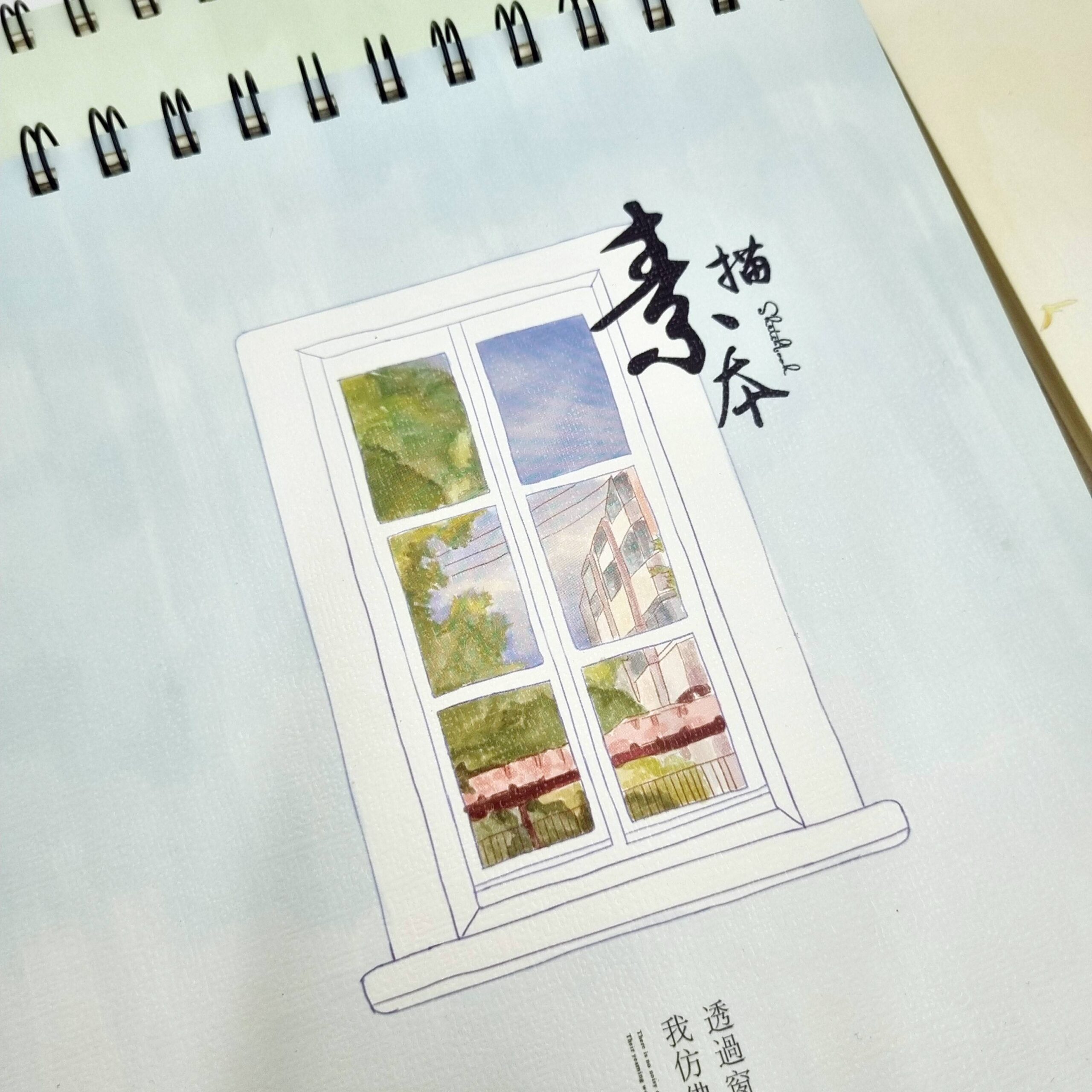 green-day-omega-3-forte-plus