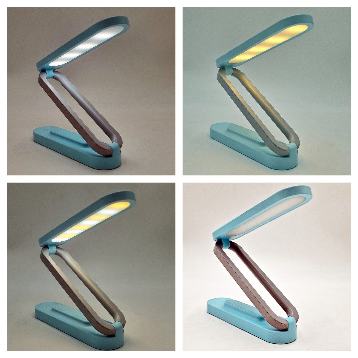 green-day-omega-3-forte-plus