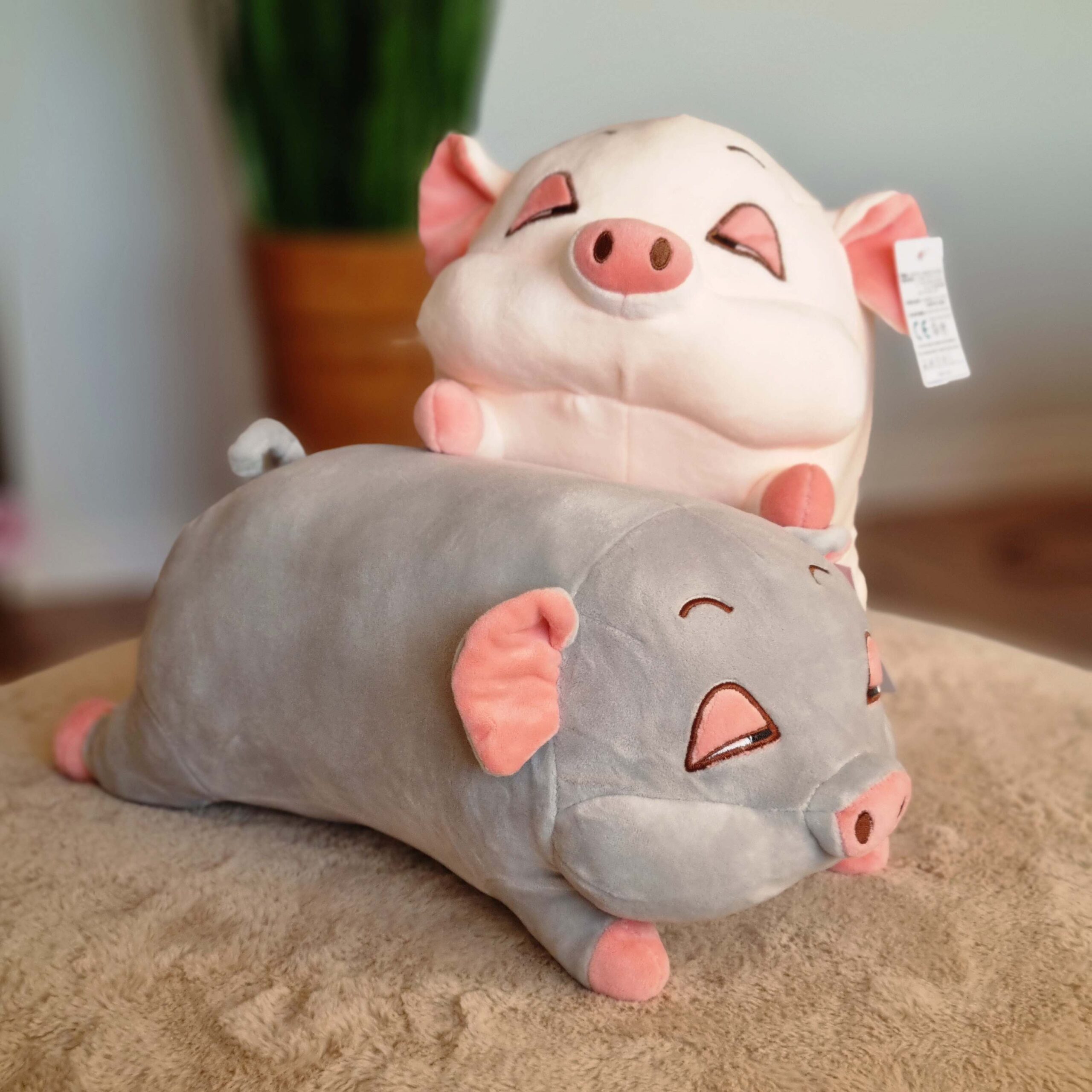 green-day-omega-3-forte-plus