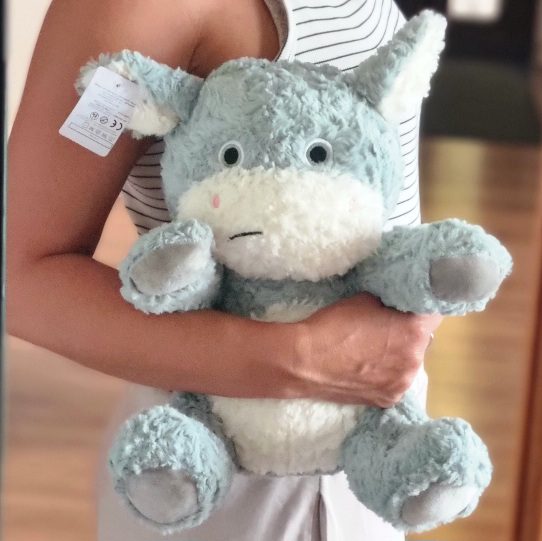 green-day-omega-3-forte-plus