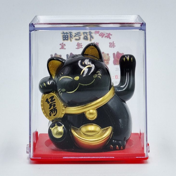 green-day-omega-3-forte-plus