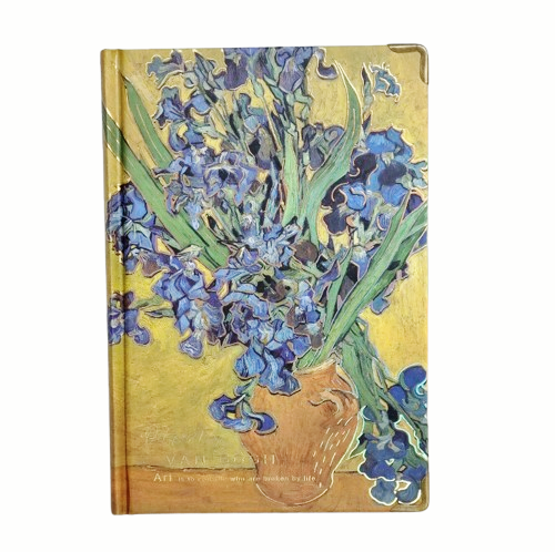 green-day-omega-3-forte-plus